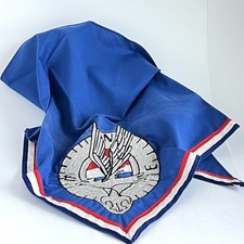 Boy Scouts Explorer Silver Award Neckerchief Eagle Compass Rare BSA picture