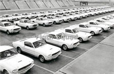 Picture Photo PLANT OF SHELBY FORD MUSTANG GT 350s 8577 picture