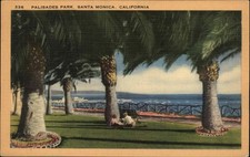 Santa Monica CA California Palisades Park Couple c1930-50s Vintage Postcard picture