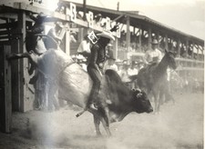 Collection of 45 Cheyenne Frontier Days 1954 8 x 10 Photos Parade/Rodeo/Culture picture