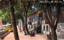 Mt Mount Lowe CA California Alpine Tavern destroyed by fire Vtg Postcard F37 picture