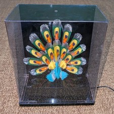Large 18