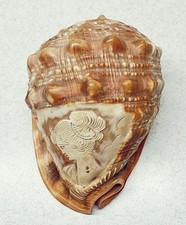 VINTAGE HAND CARVED CAMEO CLASSICAL WOMAN PROFILE BULLMOUTH HELMET SHELL - ITALY picture