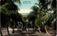 View of Cuban Home, Key West FL Vintage Postcard T57 picture