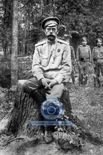 THE LAST KNOWN PHOTO OF CZAR NICHOLAS II ROMANOV FAMILY 1917 4X6 B&W PHOTO picture
