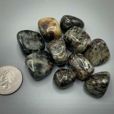 Wholesale Astrophyllite tumbled stones bulk 100g lot picture