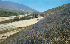 Gorman California San Andreas Fault Zone Grapevine Ridge Route Vtg Postcard I59 picture