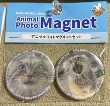 Nasu Animal Kingdom Limited Manul Cat Polly Magnet picture