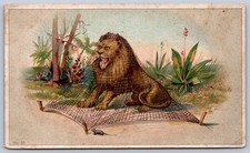 K20/ Victorian Trade Card c1880s Simons Ohio Ashtabula C.B. Kennedy 202 picture