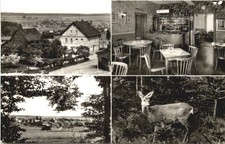 Ellern - Guest House Waldlust -728044 picture