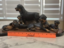 Rottweiler Family includes Male, Female and 4 pups picture