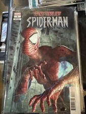 SPINE-TINGLING SPIDER-MAN #2 1:25 Bjorn Barends AHMED VARIANT MARVEL Perfect 👌 picture