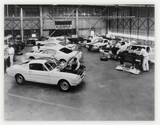 11X8.5 1965 SHELBY MUSTANG GT350 ASSEMBLY LINE PHOTO REPRODUCTION PRINT picture