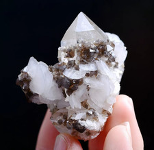 65g Natural Rare Scheelite & Crystal Calcite Mineral Specimen/Yaogangxian China picture