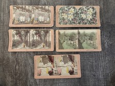 Lot of 5 Antique HAND TINTED Stereoview Cards B. W. Kilburn 1890s picture