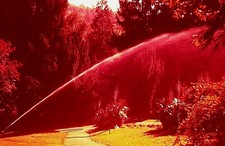 UA07 ORIGINAL KODACHROME 1960s 35MM SLIDE LITHIA PARK ASHLAND OREGON SPRINKLER picture