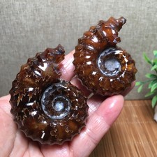 168g2pc Natural Stone sculptor decoration specimens of Madagascar fb1937 picture