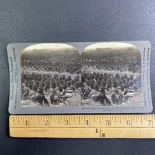 Orange Groves Stereoview Keystone View Co. 1903 California Agriculture picture