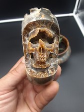 Carved Ammonite Fossil Skull With Druze Eye Opalized  picture