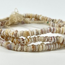 Mauritanian and Clam Shell Beads 31 Inch picture