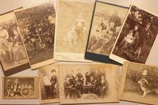 (9) Dog Photographs Cabinet Card CDV Pet Animal picture