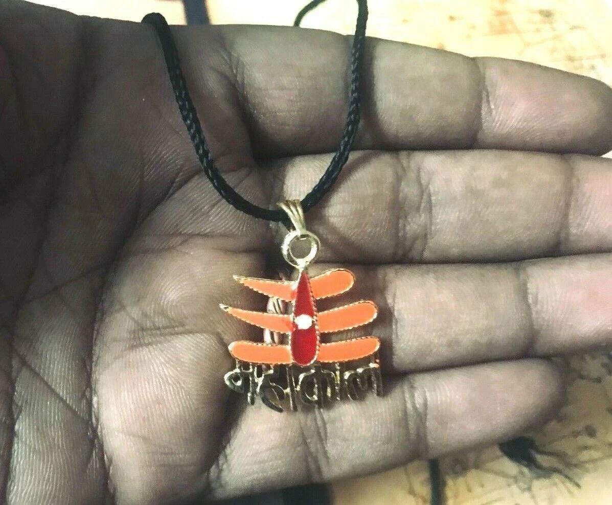 Master Organe Tortoise Pendent Luck Protection Tachyon Prana SUPREME POWER BLESS
