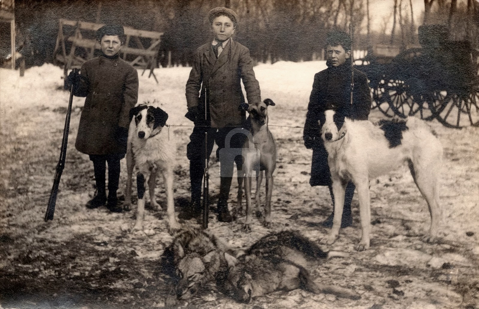 Boys Dogs Greyhounds Wolf Hunting c1910s RPPC Photo Postcard COPY