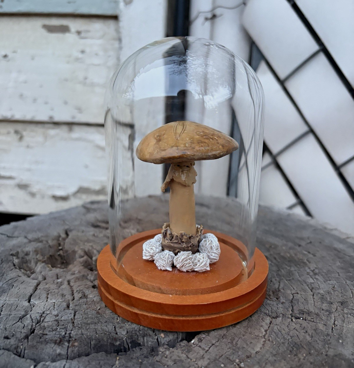 Fossilized amanita mushroom (small)