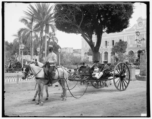 Cuban volanta, 1904. 2-wheeled carriage belonging to the Hotel Lou- Old Photo