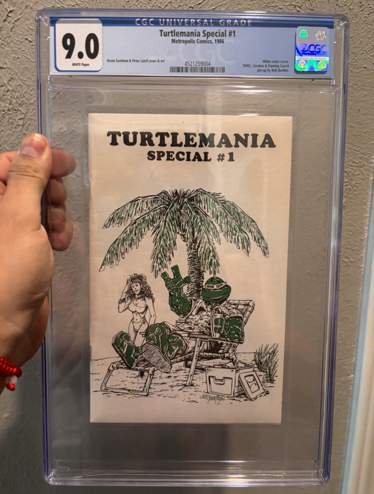 Teenage Mutant Ninja Turtles collection