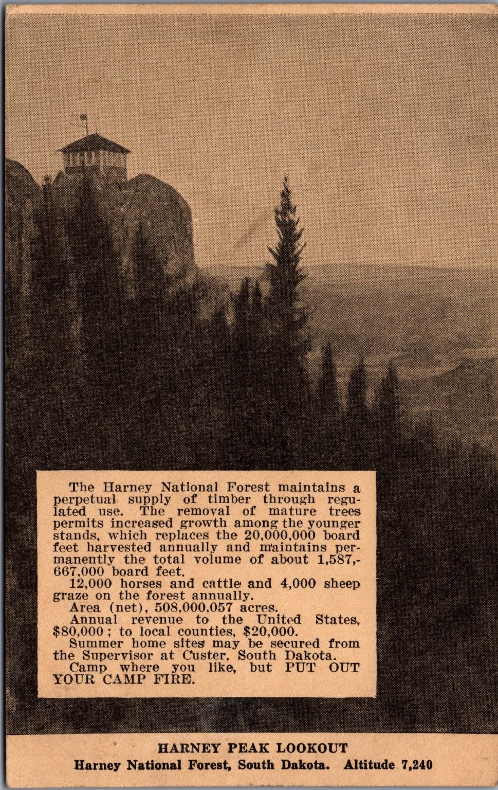 Harney Peak Lookout South Dakota 1930 Postmark US Forest Service Postcard