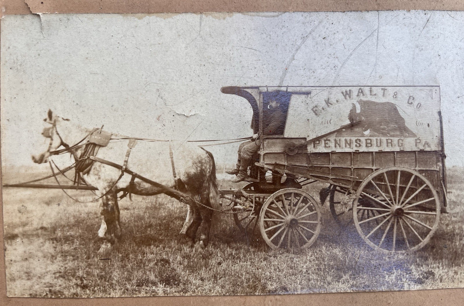 Antique 1870s-80s FK Walt Pennsburg Pa Horse Drawn Business Wagon Photo