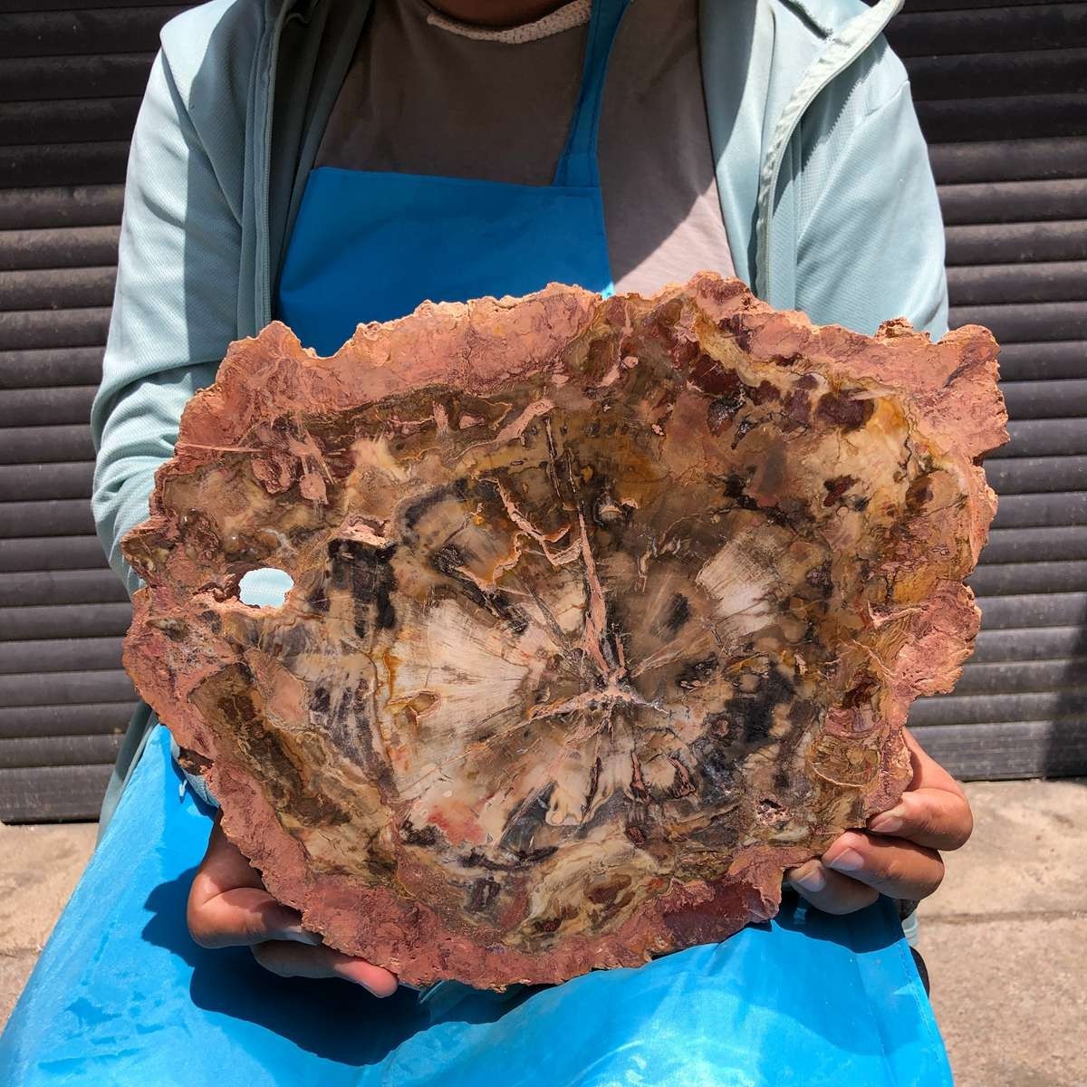 4.59LB Natural Petrified Wood Crystal Fossil Slice Crystal Specimen Healing 6408