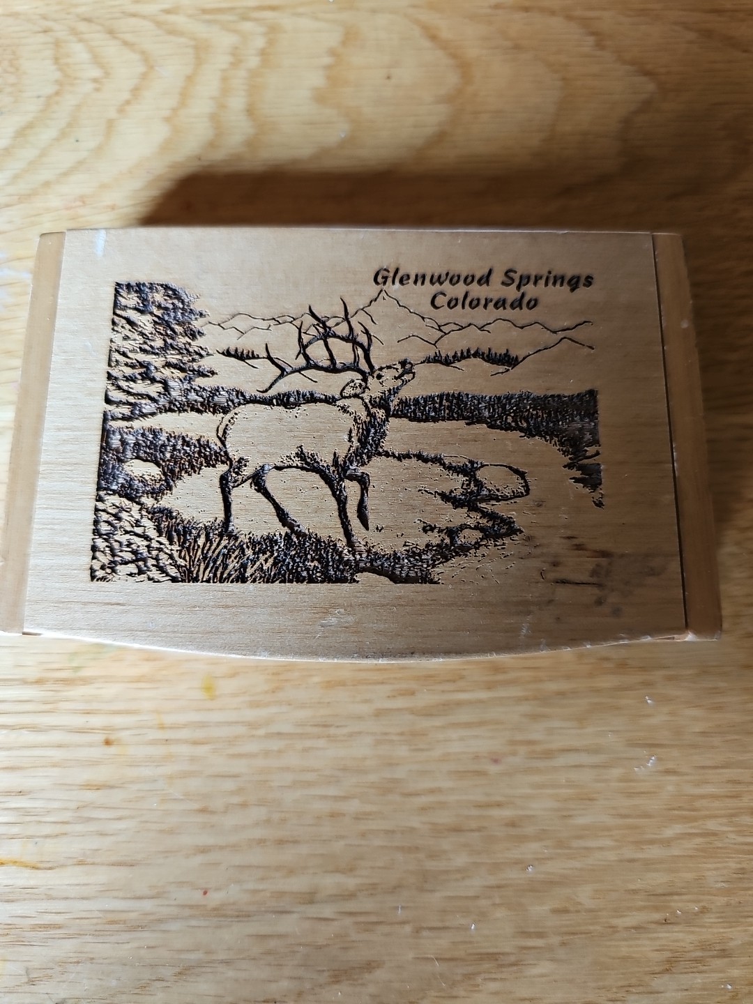 Vintage Glenwood Colorado Domino's Set