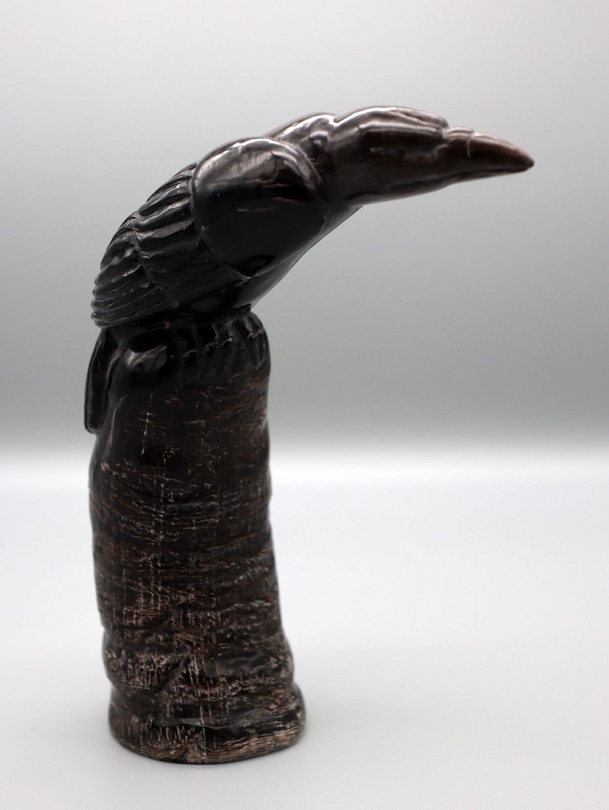 Brian Yatsattie Water Buffalo Horn Zuni Raven Fetish