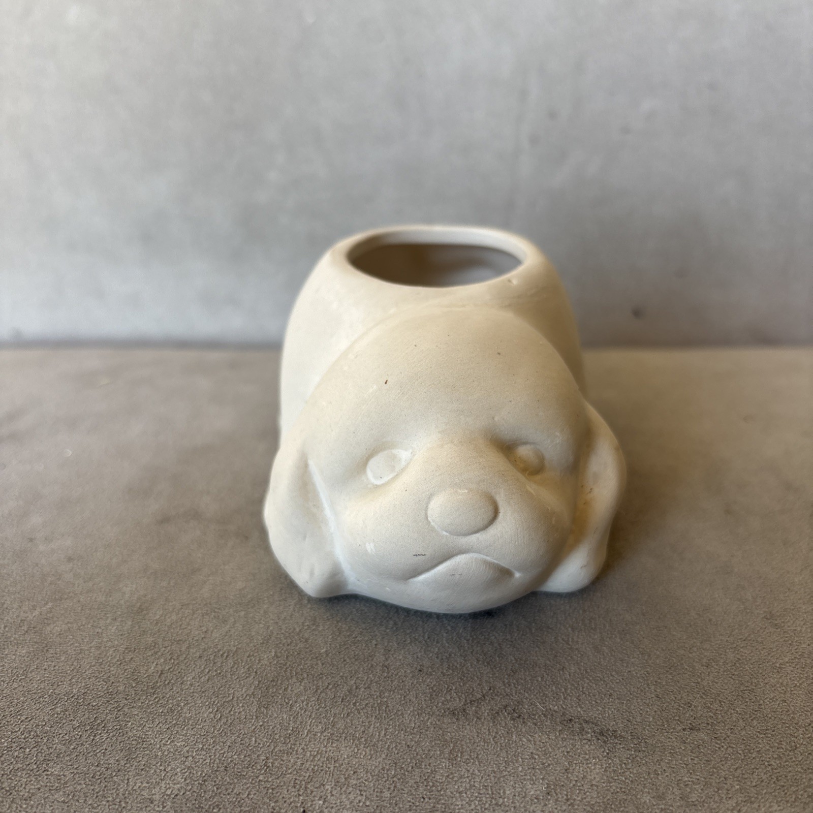 Creative And Adorable Small succulent Planter Shaped Like A “Dog”