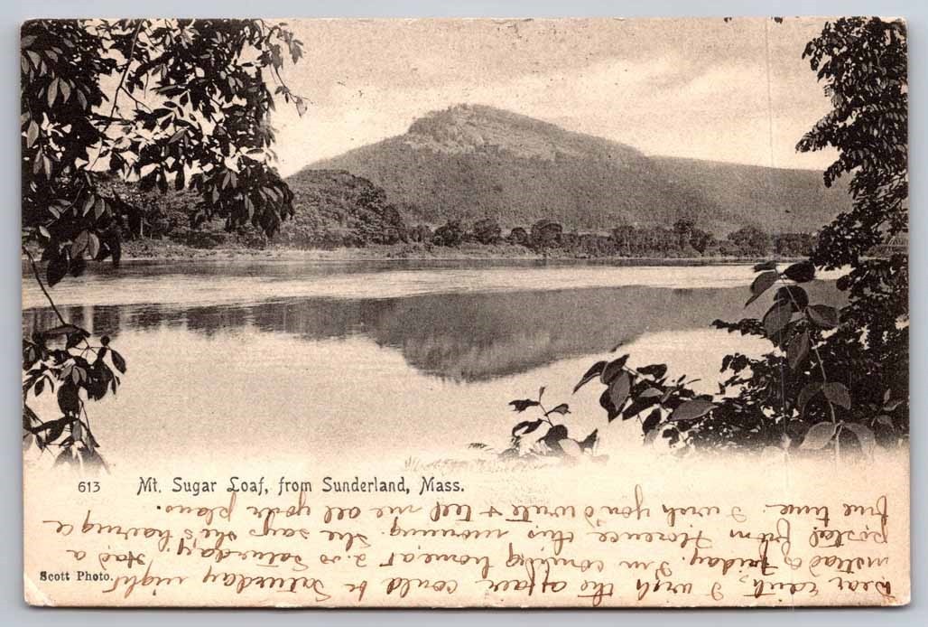 Mt Sugar Loaf Sunderland MA Massachusetts 1906 Shore Line View Postcard