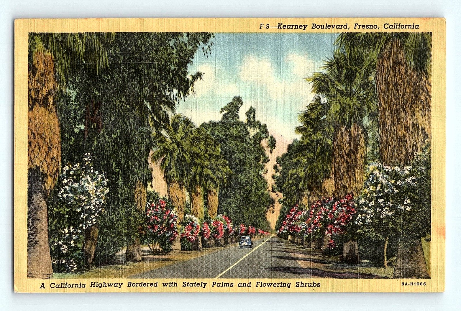 c1940s Kearney Boulevard Fresno California Highway Palms Shrub Linen Postcard G6