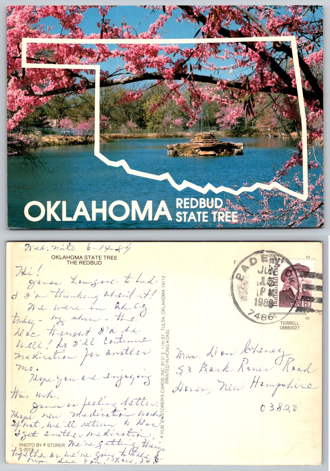 Oklahoma Redbud State Tree Postcard 1989 Paden OK Photo Spring Blossoms