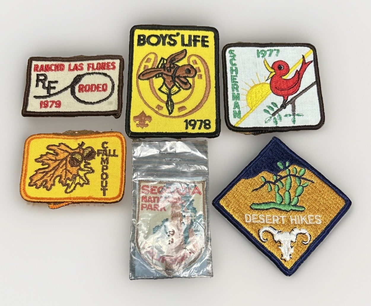 BSA Patch Lot 6pc Vintage 1970s Boys Life Rodeo Sequoia Desert Hikes Campout