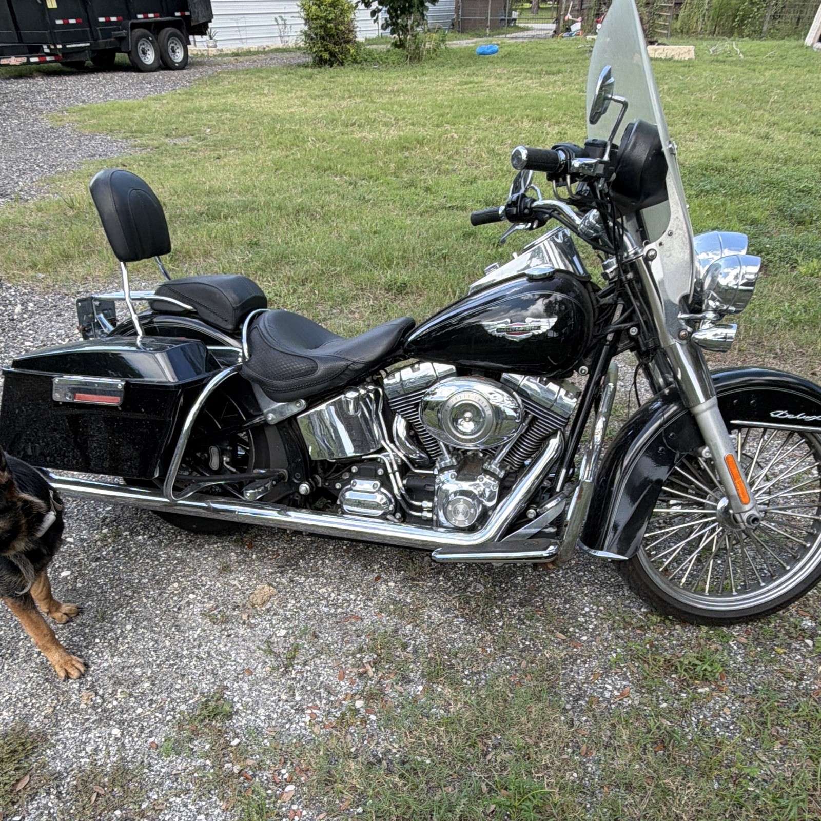 2010 Harley Davidson Soft Tail Deluxe