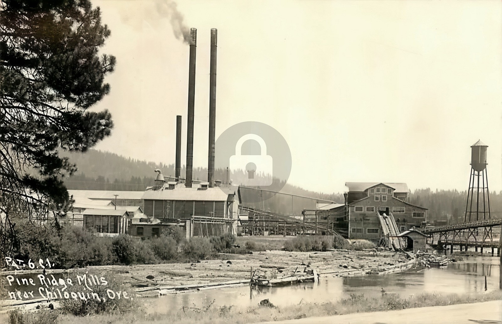 Pine Ridge Mills Nr Chiloquin OR Oregon RPPC Photo Postcard COPY
