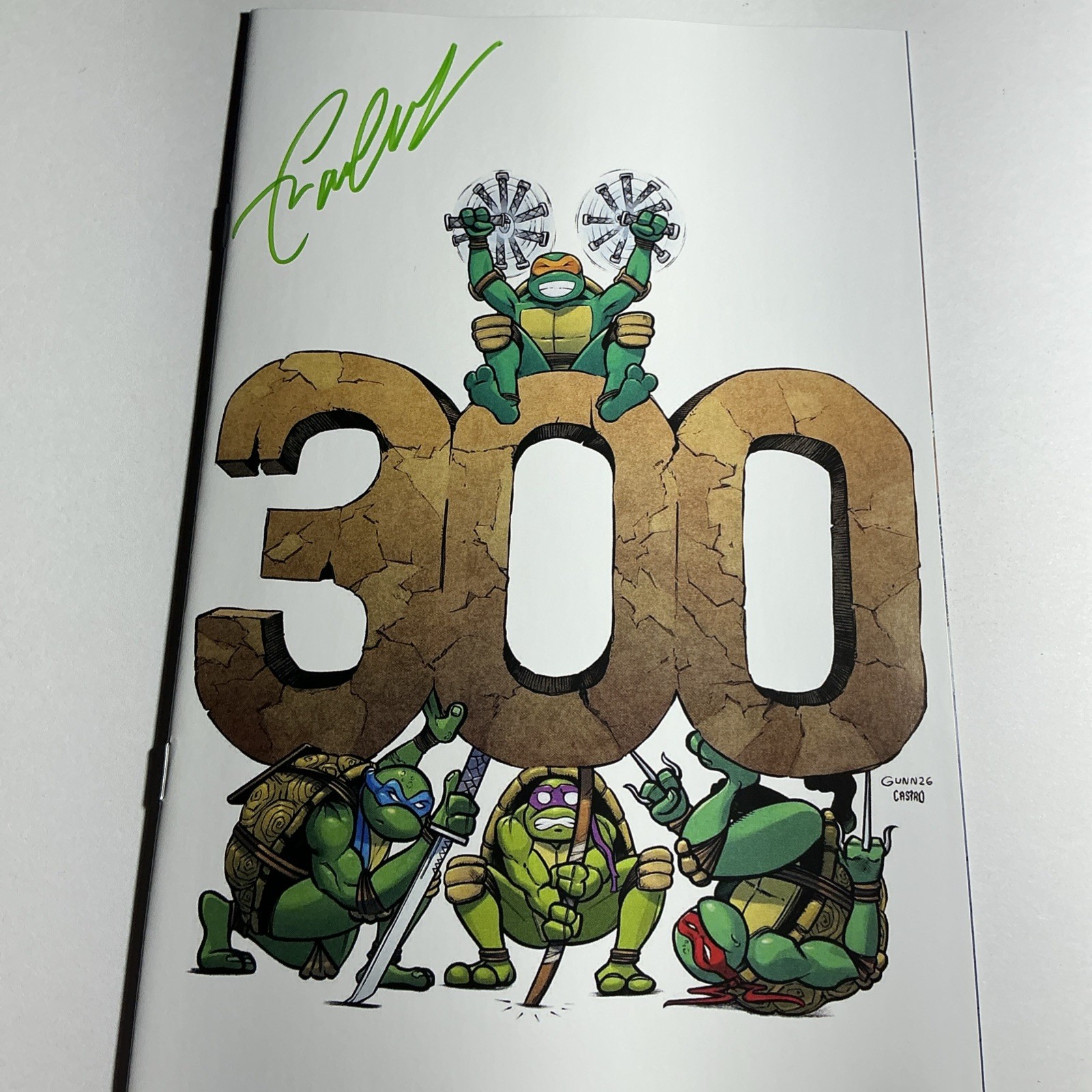 Teenage Mutant Ninja Turtles #20 Garrett Gunn 300th Turtle 300 Signed IDW LTD