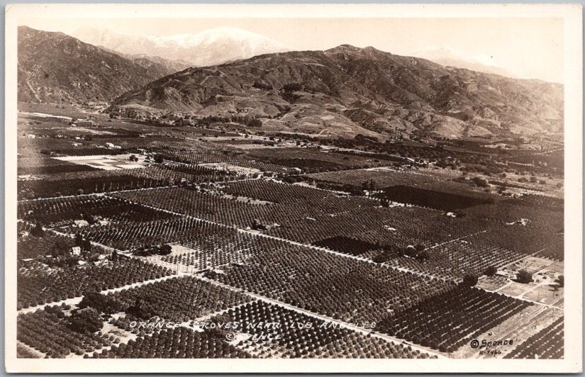 c1930s California RPPC Postcard \