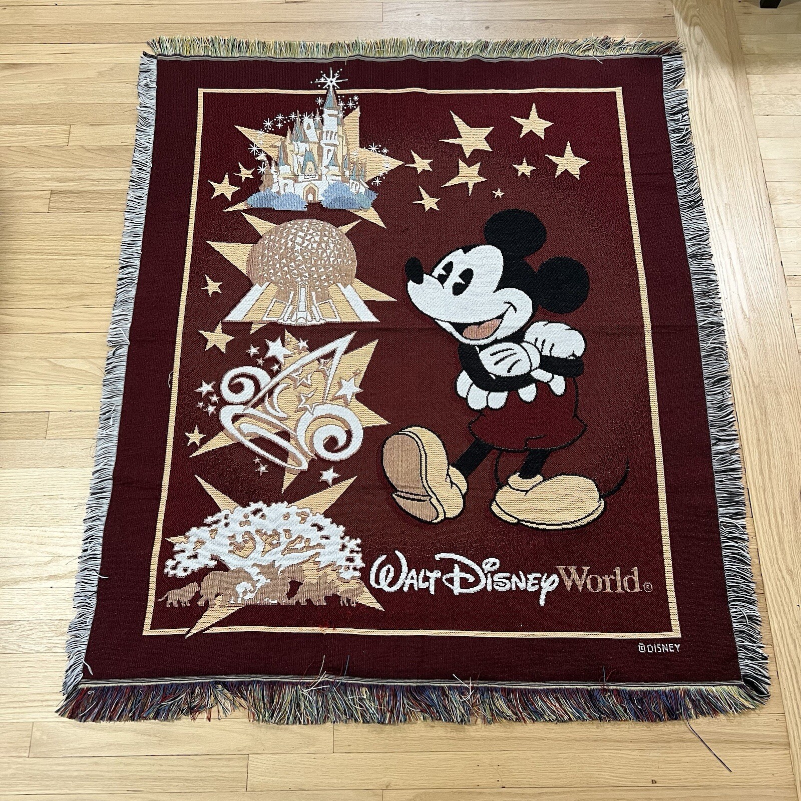 Vintage 90s Disney World Fringe Floor Rug Theme Parks Landmarks Decorative 58x50