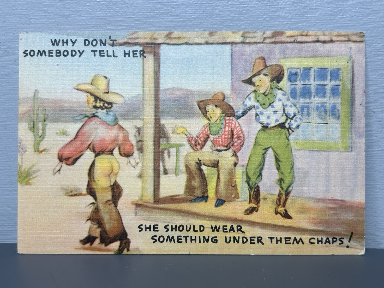 Vintage Post Card Comic Somebody Tell Her She Should Wear Something Under Chaps