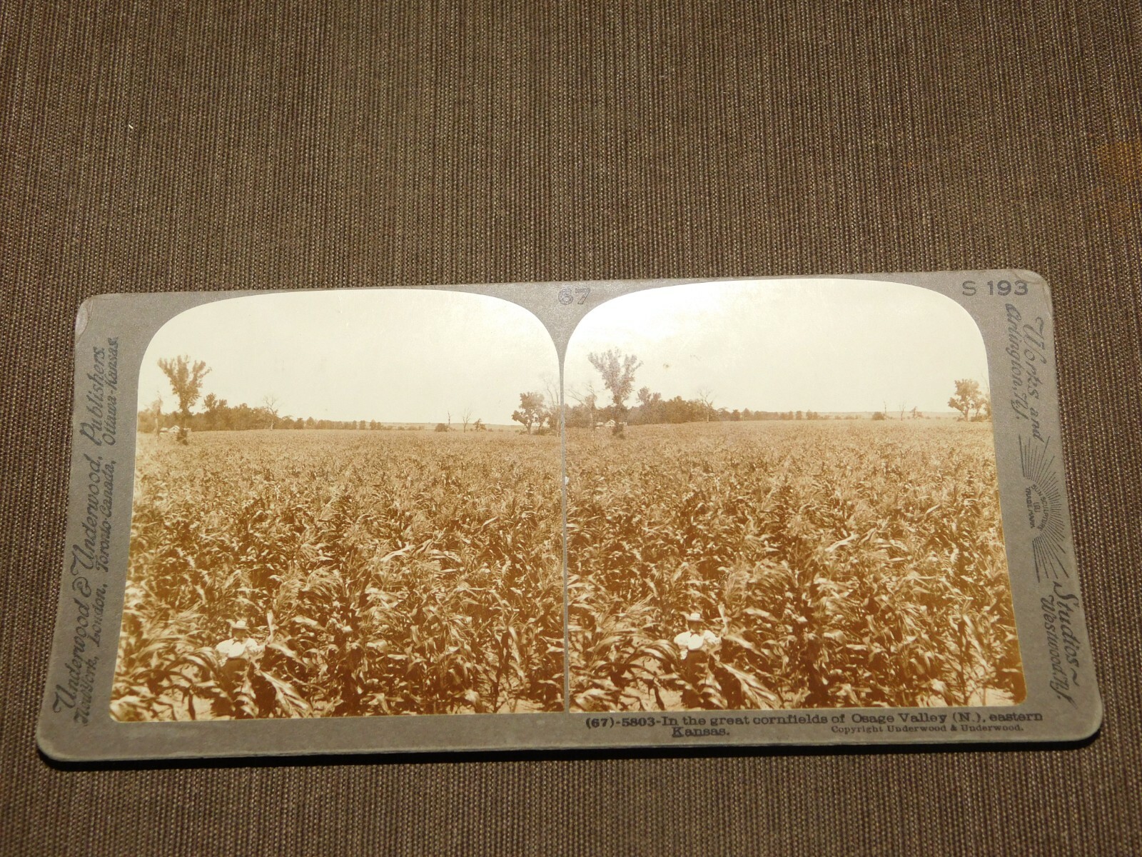 VINTAGE STEREOVIEW STEREOSCOPE CARD CORNFIELDS OSAGE VALLEY KANSAS