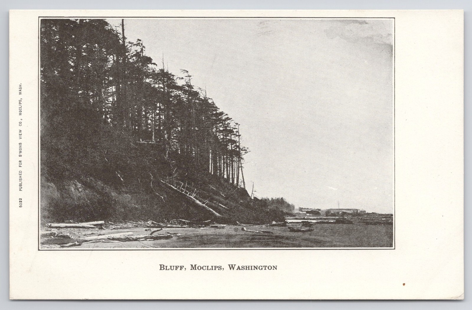 Bluff Moclips Washington postcard