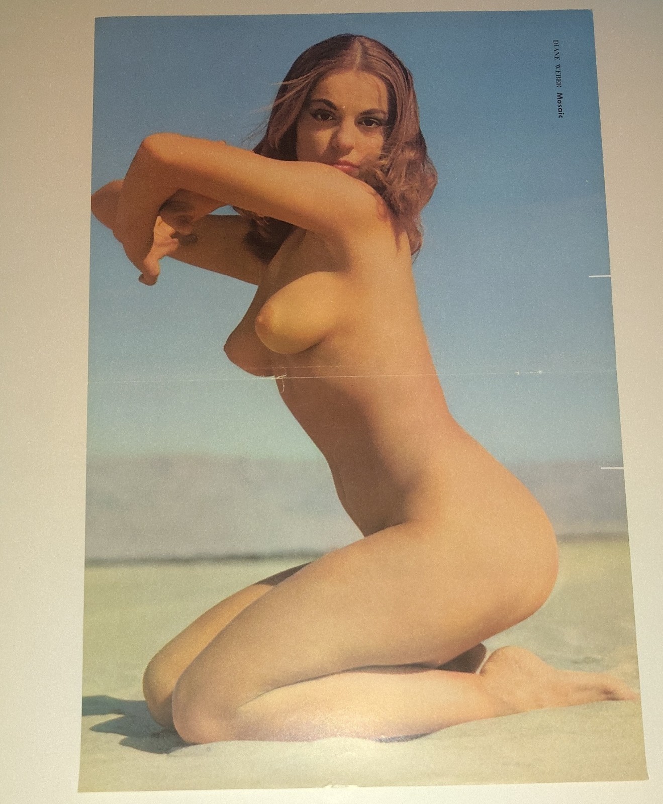 Vintage 1950s Diane Weber Pinup Photo Art Mosaic Los Angeles Magazine Layout Set