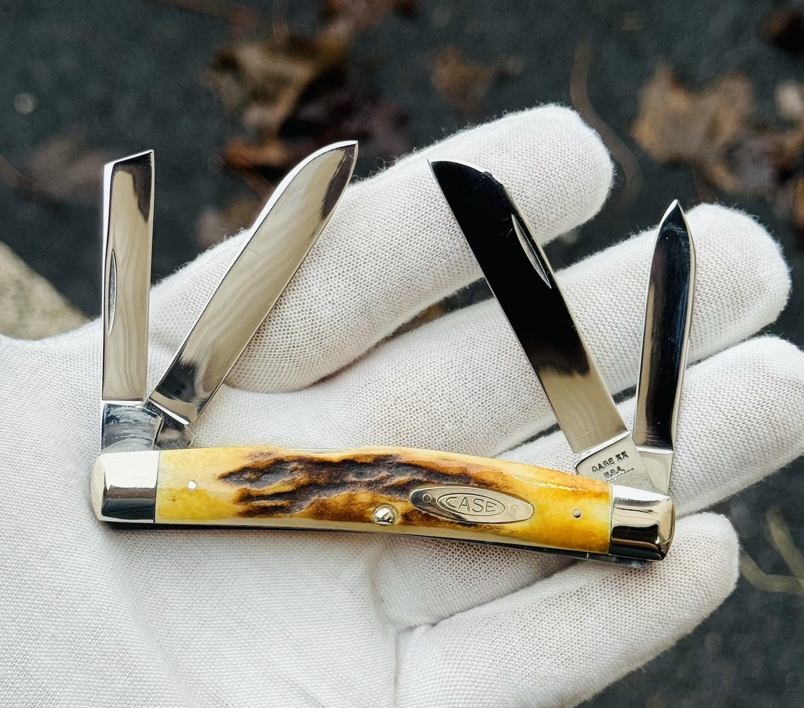 Spectacular & Rare 1970 Case XX 54052 10-Dot Congress Stag Grail